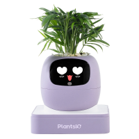 Zomercadeau om je interieur op te fleuren – Ivy AI slimme plantenpotrobot met interactieve gezichtsuitdrukkingen, intelligente plantverzorging, woondecoratie voor drukke mensen, toont de emoties van de plant (paars)
