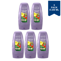 Andrélon Conditioner   Aloe Vera Repair 250 ml (5 Pack)