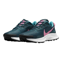 Nike Pegasus Trail 3 DA8698 300 Maat 40