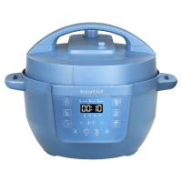 Instant Pot Rio Multicooker 3,8 Liter   Compacte Elektrische Snelkookpan & Slowcooker DayDream