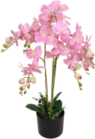 AORTA Kunstmatige Orchidee Plant met Pot   75 cm, Roze