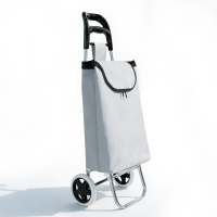 Lichtgewicht 1,15 kg opvouwbare boodschappentrolley, 2 in 1 opvouwbare boodschappenkar met 25 L waterbestendige Oxford tas & 20 kg steekwagen, ergonomische handkar met stille EVA wielen voor markt & reizen