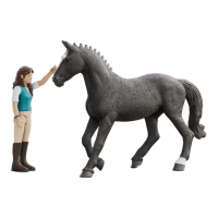 Schleich Horse Club Lisa & Storm speelfiguur   8,2 cm, veelkleurig