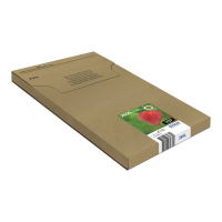 Epson aardbei multipack 4 kleuren 29XL EasyMail