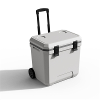 Huacan draagbare koelbox met trekstang en wielen, 38 L, geschikt voor outdoor kamperen, picknicken, voedsel, ijs, koude opslag en koeling