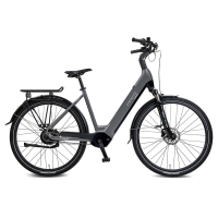 Rabeneick Comfort E Bike Wave 51 grijs