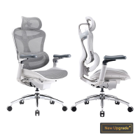 Sihoo Doro C300 Pro ergonomische bureaustoel met ultrazachte 6D armleuningen, dynamische lendensteun, verstelbare zitdiepte en verstelbare rugleuning, voor thuiswerk (Wit)