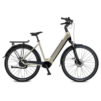 Rabeneick Comfort E Bike Wave 51 champagnegoud