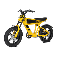Mangosteen [zomeraanbiedingen   met levering de volgende dag] FT03 250 W e bike met uitneembare 48 V 18,2 Ah lithiumbatterij, 25 km/u, bereik van 75 km, 20 x 4,5 inch brede banden, dubbele vering en hydraulische schijfremmen, e bike voor alle terreinen me