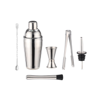 BJ 550ML roestvrijstalen cocktailshaker set, 6 delig