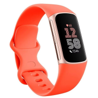 Fitbit Charge 6 Fitnessband   Goud