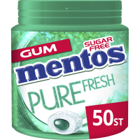 Mentos Wintergreen Suikervrij Kauwgom   50 stuks, 100 g
