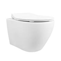 DeerValley randloze wandclosetset met zitting met zachte sluiting, stil ontwerp, glad keramisch oppervlak, D vormig ontwerp, toilet met een diepte van 51,5 cm voor gastenbadkamer