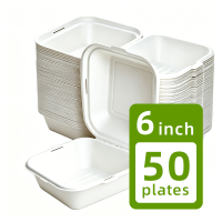 Burgerdozen van suikerrietpulp, verpakking van 50 stuks, wegwerp suikerriet take out dozen, 15 x 15 cm, biologisch afbreekbaar wegwerf servies, lekvrije containers voor sandwiches, hamburgers en pasta