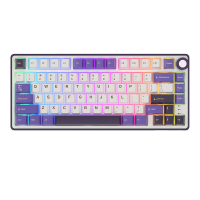 RK ROYAL KLUDGE R75 bedraad gamingtoetsenbord met volumeknop, 75% mechanisch gamingtoetsenbord met custom gasket mount en Cherry Profile PBT toetsen, hot swappable K Silver schakelaar, kleur Blackberry Mousse