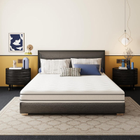 EGO HOME matras 100 x 200 cm, hardheidsgraad H2 en H3, 2 in 1 koudschuimmatras van geltraagschuim, 16 cm hoog, 7 zone ergonomisch omkeerbaar, OEKO TEX gecertificeerd