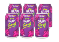 TING Soda Raisin 330 ml x 6