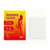 JORDAN&JUDY Zelfverwarmende warmtepleisters, 10 pack, individueel verpakt, draagbare langdurige warmtekussens voor bescherming tegen winterkou