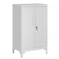 JOYFURNOS lichtgrijze roestbestendige stalen afsluitbare opbergkast – dubbele deuren, 2 verstelbare planken, 60,1 x 40,2 x 99 cm – veilige kast voor kantoor of garage
