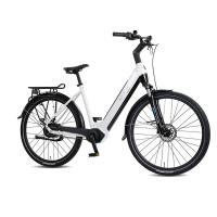 Rabeneick Comfort E Bike Wave 51 wit