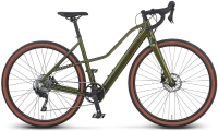 Prophete GRAVELER 1.0 Elektrische Gravelbike 28 Inch   Frame 48 cm   Groen   Incl. 3 In 1 Accessoiresset