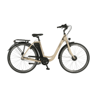 Prophete Geniesser 1.0 Elektrische Stadsfiets 28 Inch   Frame 46 cm   374Wh Accu   3 Versnellingen