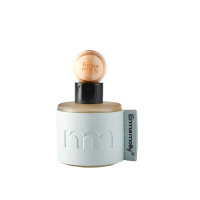 Emma Molly Zwevende Ballon Auto Aroma Diffuser Mist Blauw Tidal