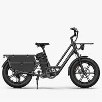 Fiido T2 (2025) All Terrain Cargo E Bike (Grijs): Step Through Frame (155 200 cm), 200 kg Draagvermogen, Lange Actieradius Uitneembare Accu, Voorvering, 20x4,0 Fat Tires, Hydraulische Remmen & Dubbele Standaarden.