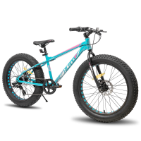 Hiland Roon kindermountainbike voor jongen en meisje, met fattire band, Shimano 7 versnellingen en dubbele schijfrem, groen, 20 inch