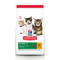 Hill's Science Plan Kattenvoer Droog Kitten Kip 1,5 kg