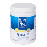 Beyers Recovery 600 gr