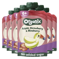6X Organix Knijpfruit 6+m Appel Aardbei & Blauwe Bes BIO 100 gr