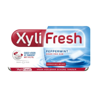 24X Xylifresh Kauwgom Peppermint