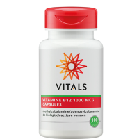 2X Vitals B12 1000 Mcg 100 capsules