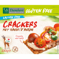 10X Damhert Crackers Haver Glutenvrij Lactosevrij 230 gr