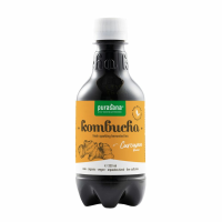 3X Purasana Kombucha Kurkuma Bio 330 ml