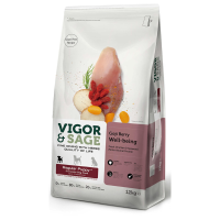 Vigor & Sage Hondenvoer Regular Puppy Well Being Gojiberry 12 kg