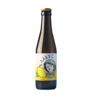 3X AARD'G Kombucha Citroen 250 ml