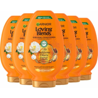6X Garnier Loving Blends Argan  en Cameliaolie Conditioner 250 ml