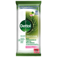 6X Dettol Reinigingsdoekjes Tru Clean Appleblossom 48 stuks