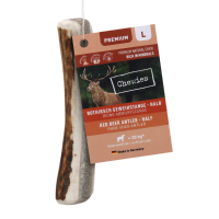 Chewies Edelherten Gewei Stang L Half 140 gr