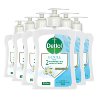 6X Dettol Handzeep Extra Care Kamille 250 ml
