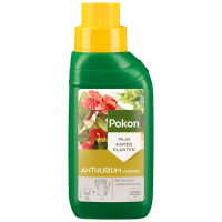 Pokon Planten Voeding Anthurium 500 ml