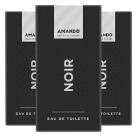 3X Amando Noir Eau de Toilette 50 ml