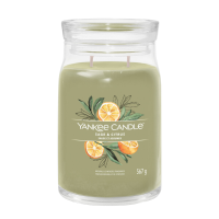 Yankee Candle Geurkaars Large Jar Sage & Citrus Signature 567 gr
