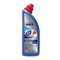 Glorix Professional Voegenreiniger Pro Formula 750 ml