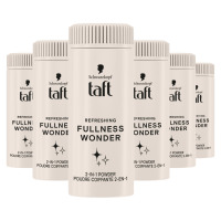 6X Taft Fullness Powder Fullness Wonder 10 ml