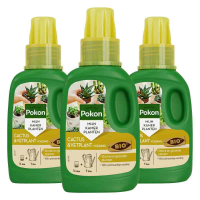 3X Pokon Planten Voeding Cactus en Vetplant 250 ml