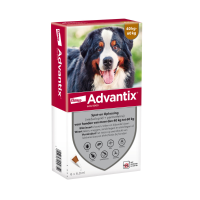 Advantix Spot On 600 Anti Vlooien en Teken Druppels Hond 40   60 kg 6 pipetten