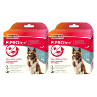 2X Beaphar Fiprotec Anti Teken  en Vlooiendruppels Hond 10   20 kg 4 stuks
